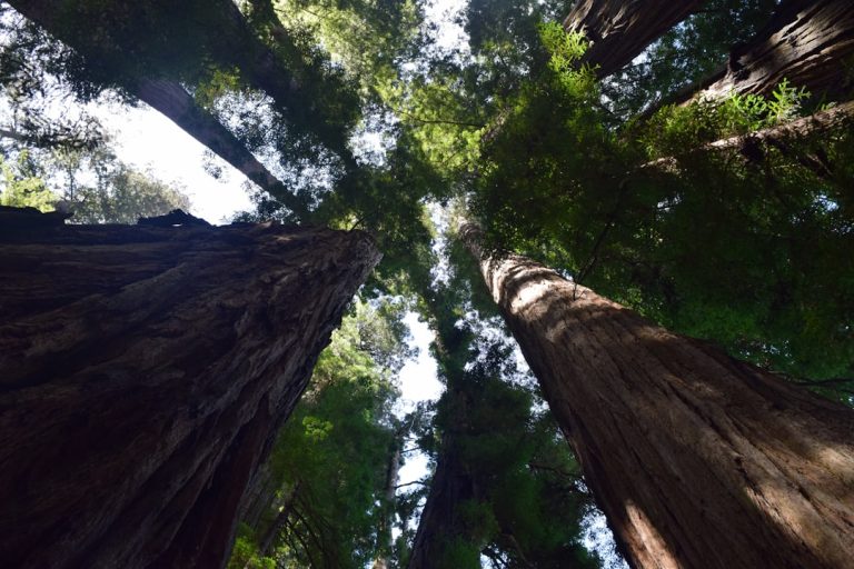 Embracing the Great Outdoors: A Journey of Discovery