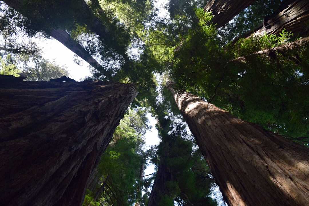 Embracing the Great Outdoors: A Journey of Discovery