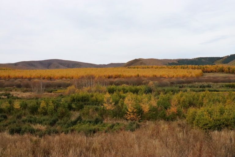 Unleashing Adventure: Embracing the Great Outdoors for Mindful Travel